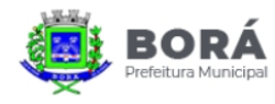 bora-logo