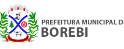 borebi-logo-2